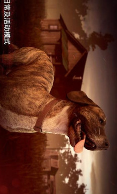 勇闯死人谷2内置修改器版(4)