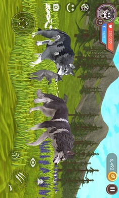 3D动物模拟器安装器(1)