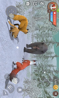 3D动物模拟器安装器(3)