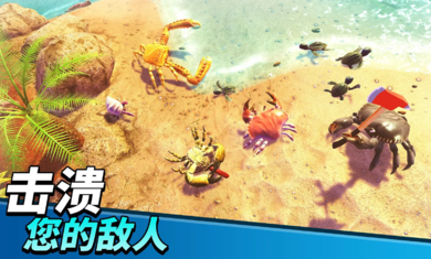 螃蟹之王安装器(3)