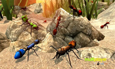 全员加速中之疯狂加速(4)