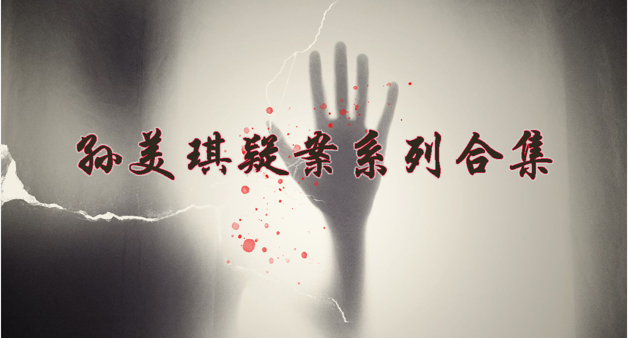 孙美琪疑案系列大全