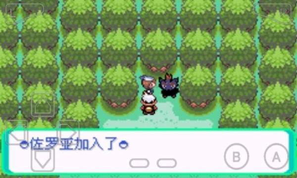 口袋妖怪漆黑的魅影手机版(3)