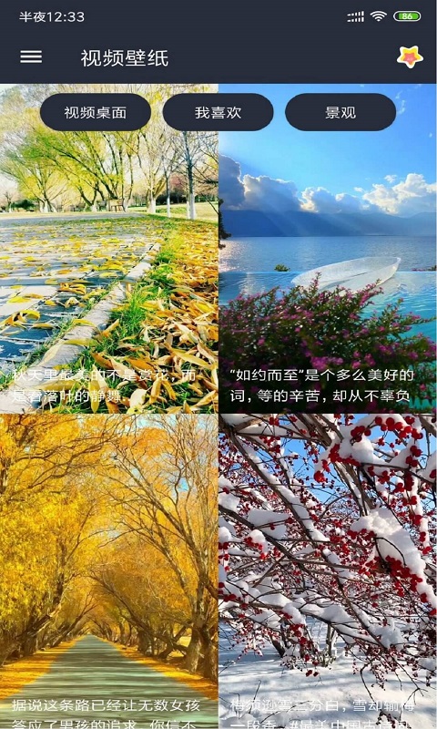 安果视频壁纸(1)