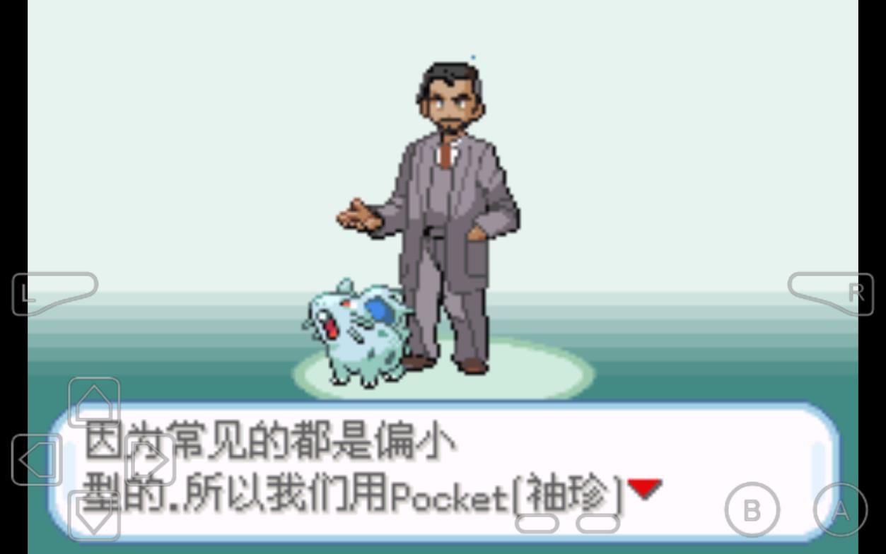 口袋妖怪剑盾汉化版(2)