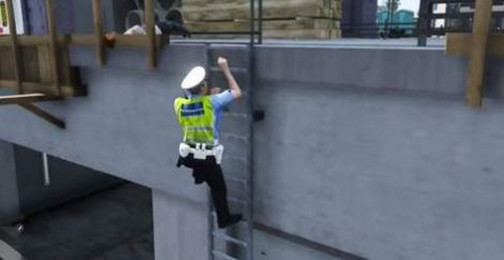 真实警察模拟器(3)