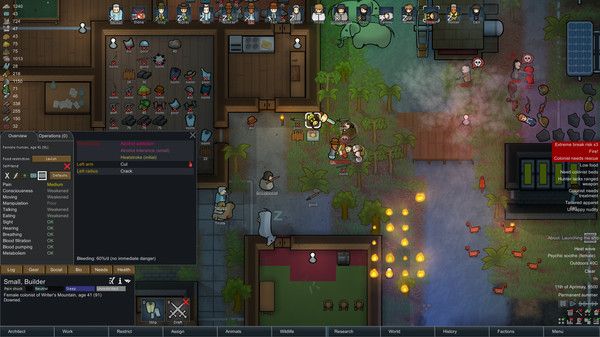 rimworld(3)