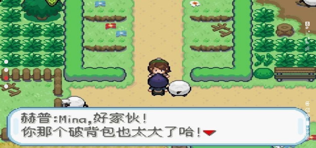 口袋妖怪剑盾gba手机版(4)