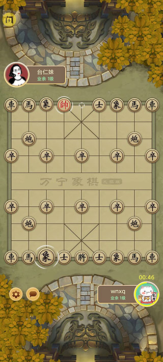 万宁象棋无限升级版(4)