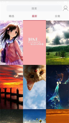 番茄主题壁纸(3)