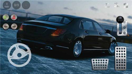 真实泊车2手机版(2)