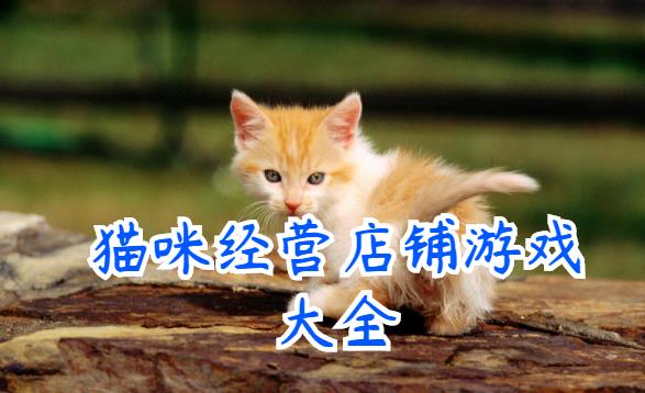 猫咪经营店铺游戏大全