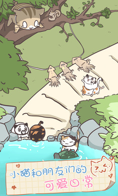 猫咪饲养日常(3)