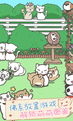 猫咪饲养日常(2)