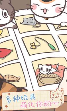 猫咪饲养日常(1)