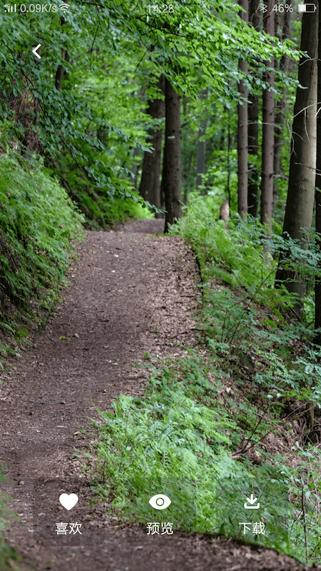 高清美图壁纸(3)