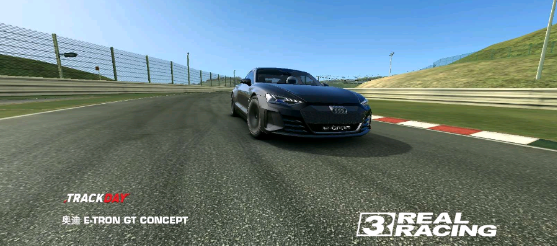 real racing3最新版(3)