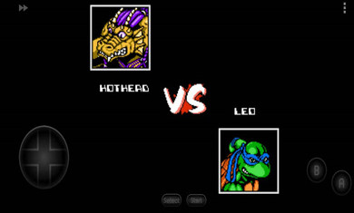 忍者神龟格斗加强版(3)