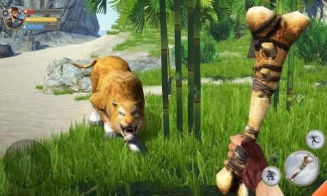 荒野废土求生(4)