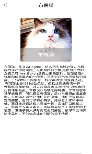 贝贝宠物百科(3)