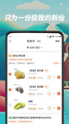 新仙C果(2)
