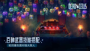 重生细胞免费版(1)