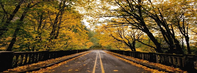 高清动态壁纸大全