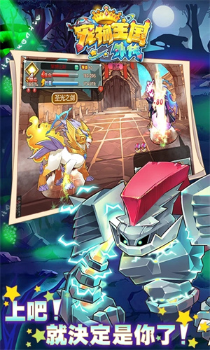 宠物王国外传全部宠物满级版(3)