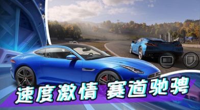 真实开车模拟(2)