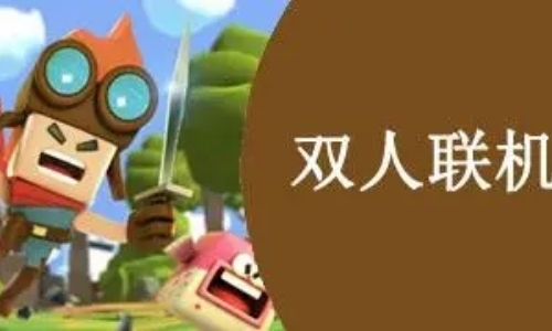 可以联机的双人游戏