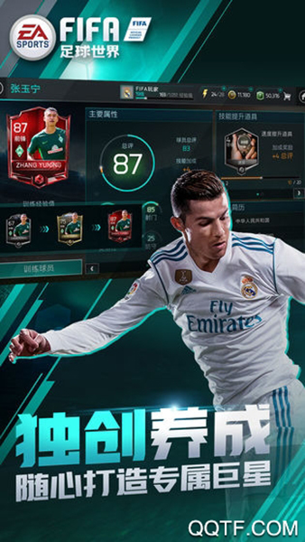 fifa足球世界国际服(2)