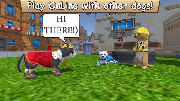 Zoom与动物Zoom最新版本(3)