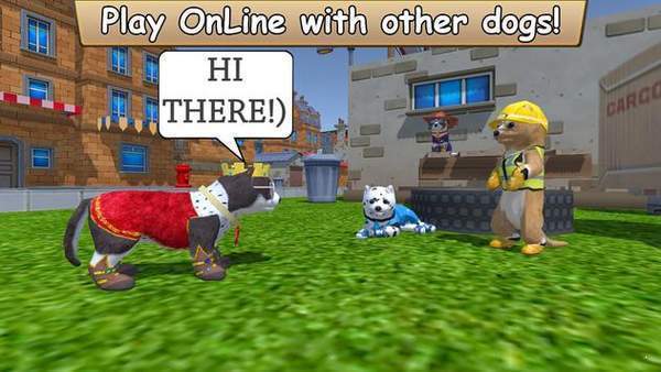 美国zoom动物猪版(3)