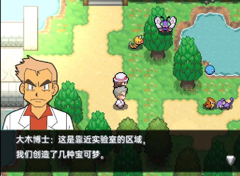 宝可梦堕落汉化版(2)