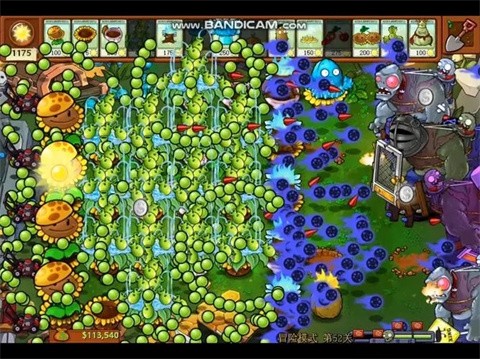 pvz末日求生版(4)