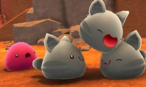 有关于兔子的游戏