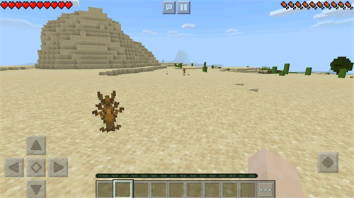 我的世界1.12.2国际版(1)