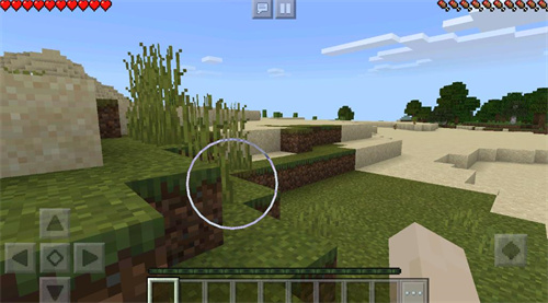 我的世界1.12.2国际版(3)