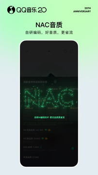 QQ音乐车机版(3)