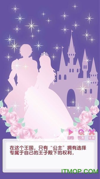 宫殿：月下灰姑娘(3)