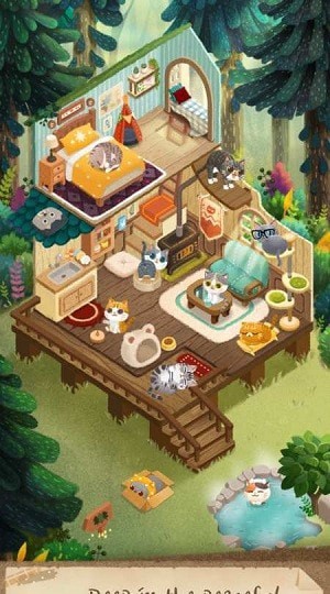 猫咪的秘密森林 最新版(2)