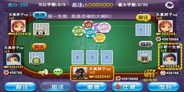 单机版免费金花游戏官网版(2)