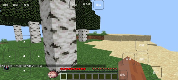 我的世界赛博模组