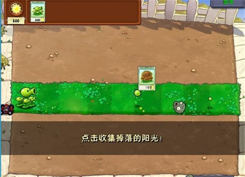 植物大战僵尸文化版