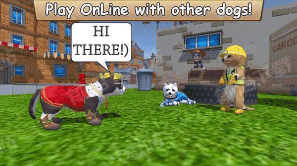 牧场Zoom与动物Zoom2025(2)