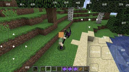 烦人的村民6.0(1)