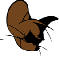 fnf猫和老鼠地窖秀模组