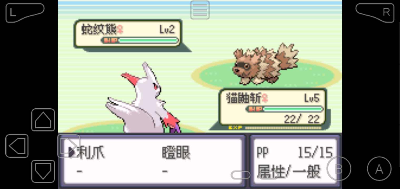 口袋妖怪绿宝石随机版(4)