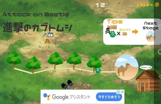 甲虫之间的战斗(2)