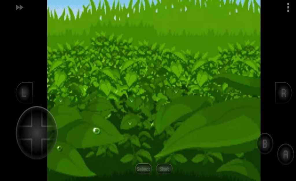 口袋妖怪漆黑的魅影5.0破解版(3)